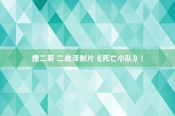 撸二哥 二战译制片《死亡小队》！