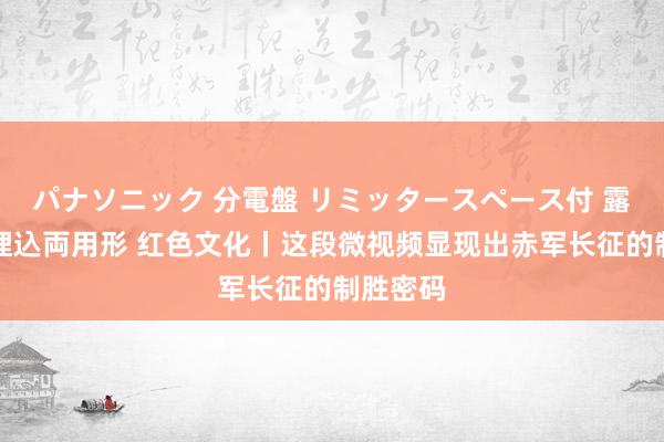 パナソニック 分電盤 リミッタースペース付 露出・半埋込両用形 红色文化丨这段微视频显现出赤军长征的制胜密码