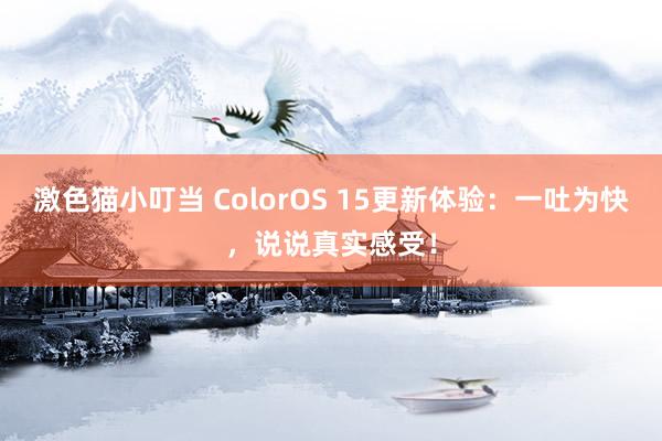 激色猫小叮当 ColorOS 15更新体验：一吐为快，说说真实感受！