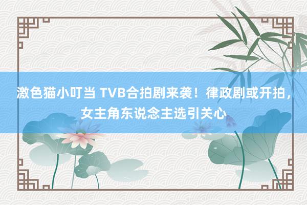 激色猫小叮当 TVB合拍剧来袭！律政剧或开拍，女主角东说念主选引关心