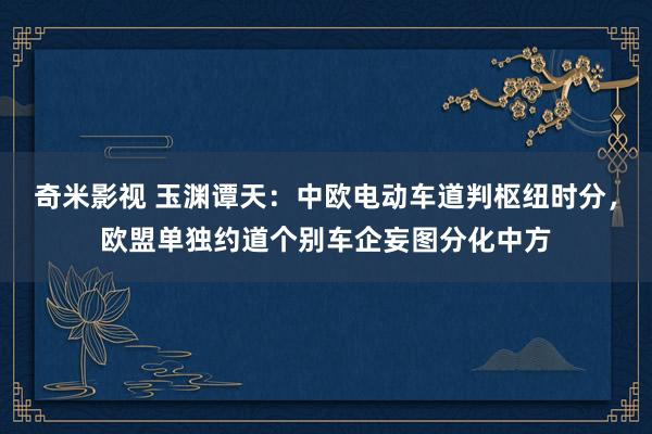 奇米影视 玉渊谭天：中欧电动车道判枢纽时分，欧盟单独约道个别车企妄图分化中方