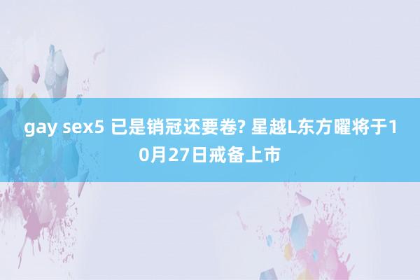 gay sex5 已是销冠还要卷? 星越L东方曜将于10月27日戒备上市