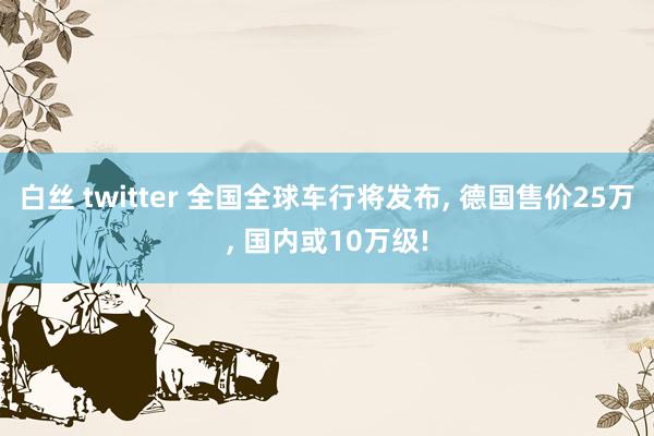 白丝 twitter 全国全球车行将发布， 德国售价25万， 国内或10万级!