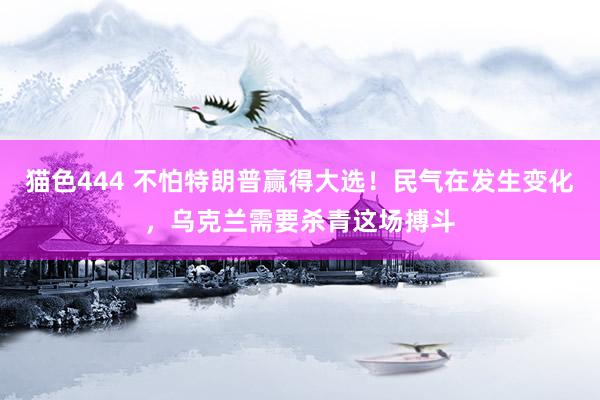 猫色444 不怕特朗普赢得大选！民气在发生变化，乌克兰需要杀青这场搏斗