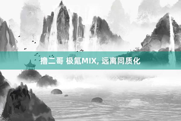 撸二哥 极氪MIX， 远离同质化