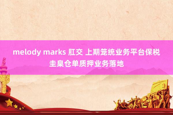 melody marks 肛交 上期笼统业务平台保税圭臬仓单质押业务落地