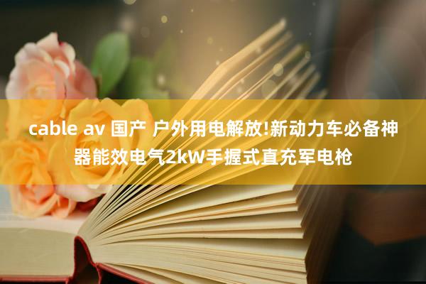 cable av 国产 户外用电解放!新动力车必备神器能效电气2kW手握式直充军电枪