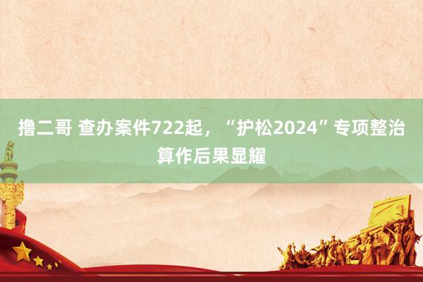 撸二哥 查办案件722起，“护松2024”专项整治算作后果显耀