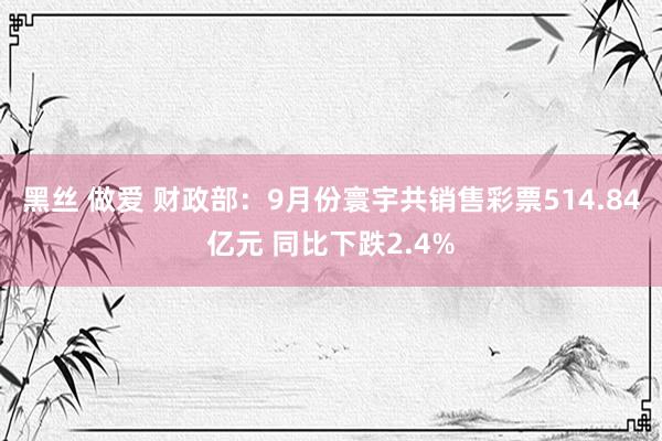 黑丝 做爱 财政部：9月份寰宇共销售彩票514.84亿元 同比下跌2.4%