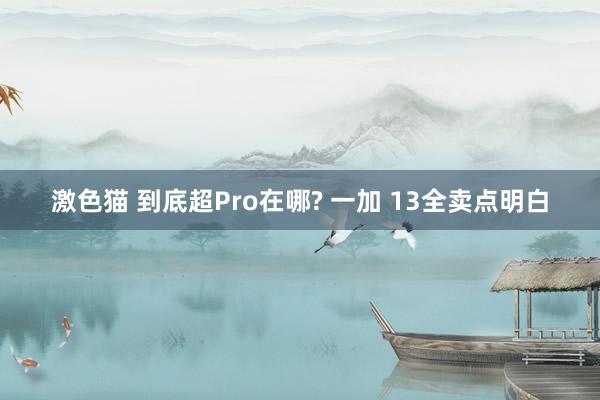 激色猫 到底超Pro在哪? 一加 13全卖点明白