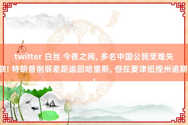 twitter 白丝 今夜之间， 多名中国公民受难失联! 特朗普削弱差距追回哈里斯， 但在要津扭捏州逾期!