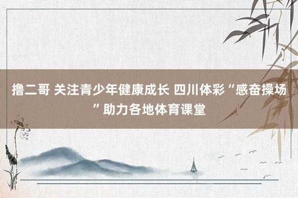 撸二哥 关注青少年健康成长 四川体彩“感奋操场”助力各地体育课堂