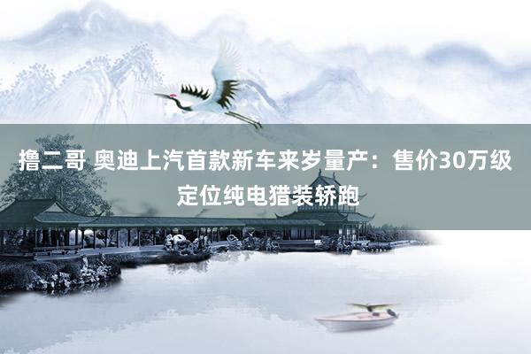 撸二哥 奥迪上汽首款新车来岁量产：售价30万级 定位纯电猎装轿跑