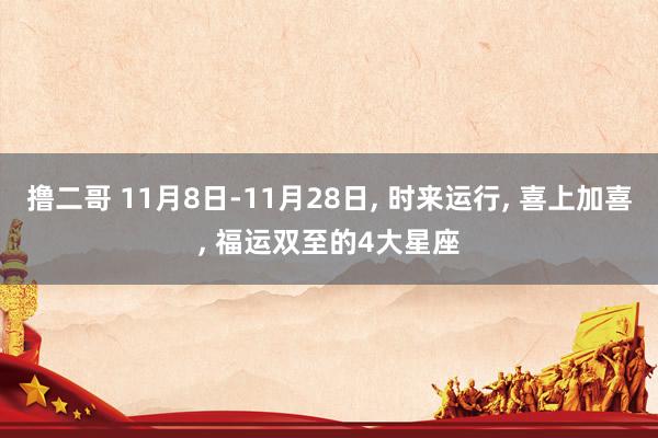 撸二哥 11月8日-11月28日， 时来运行， 喜上加喜， 福运双至的4大星座