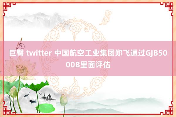 巨臀 twitter 中国航空工业集团郑飞通过GJB5000B里面评估