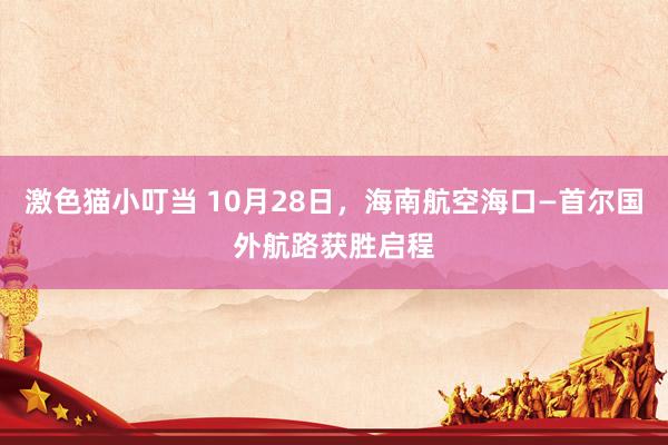 激色猫小叮当 10月28日，海南航空海口—首尔国外航路获胜启程