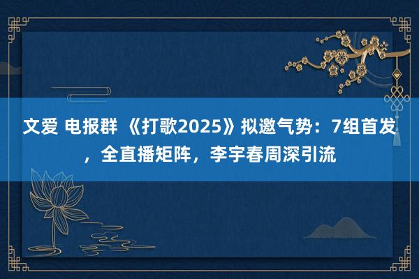 文爱 电报群 《打歌2025》拟邀气势：7组首发，全直播矩阵，李宇春周深引流