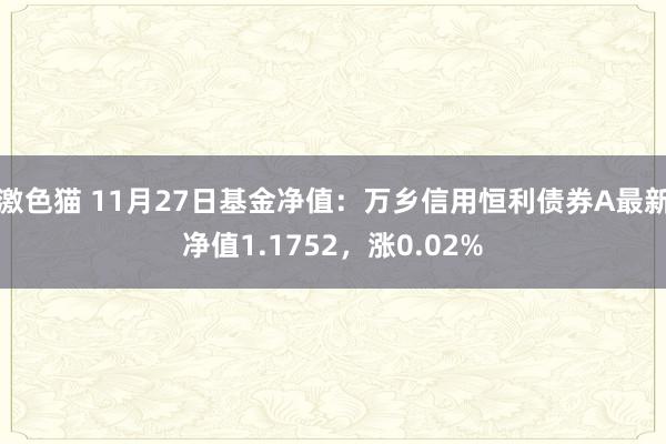 激色猫 11月27日基金净值：万乡信用恒利债券A最新净值1.1752，涨0.02%