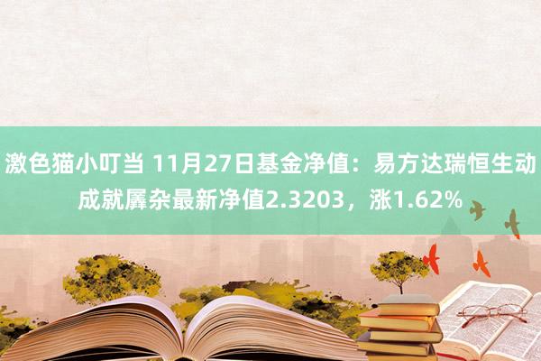 激色猫小叮当 11月27日基金净值：易方达瑞恒生动成就羼杂最新净值2.3203，涨1.62%