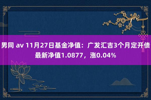 男同 av 11月27日基金净值：广发汇吉3个月定开债最新净值1.0877，涨0.04%