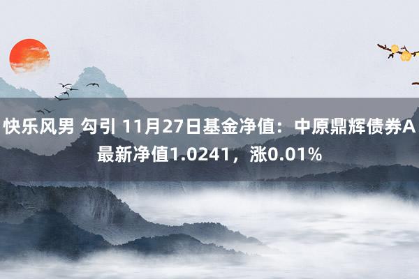 快乐风男 勾引 11月27日基金净值：中原鼎辉债券A最新净值1.0241，涨0.01%