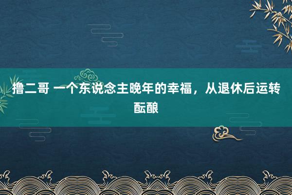 撸二哥 一个东说念主晚年的幸福，从退休后运转酝酿