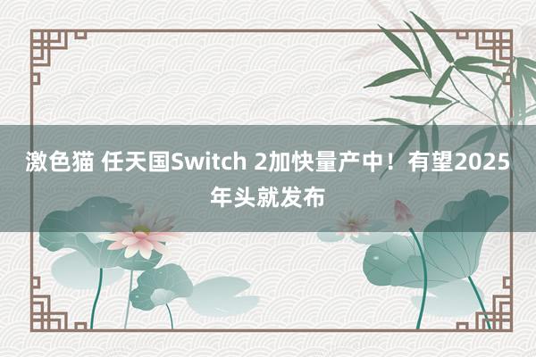 激色猫 任天国Switch 2加快量产中！有望2025年头就发布