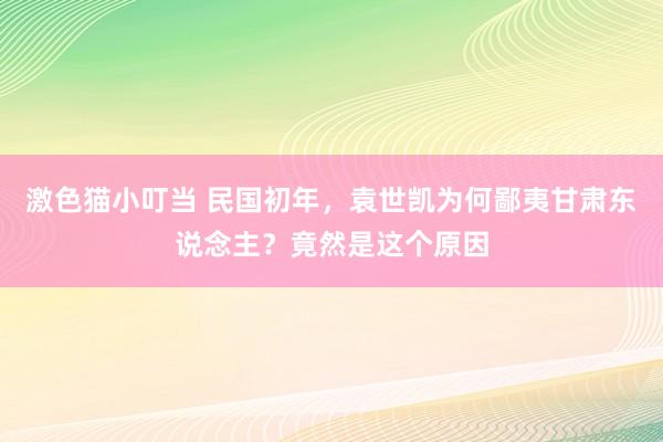 激色猫小叮当 民国初年，袁世凯为何鄙夷甘肃东说念主？竟然是这个原因