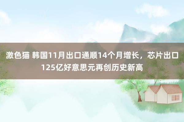 激色猫 韩国11月出口通顺14个月增长，芯片出口125亿好意思元再创历史新高