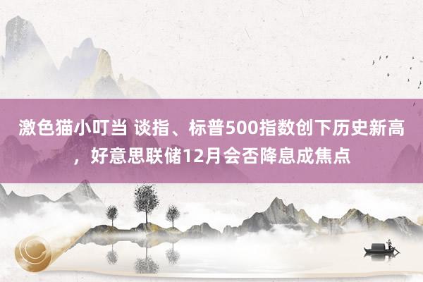 激色猫小叮当 谈指、标普500指数创下历史新高，好意思联储12月会否降息成焦点