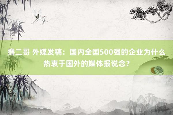 撸二哥 外媒发稿：国内全国500强的企业为什么热衷于国外的媒体报说念？