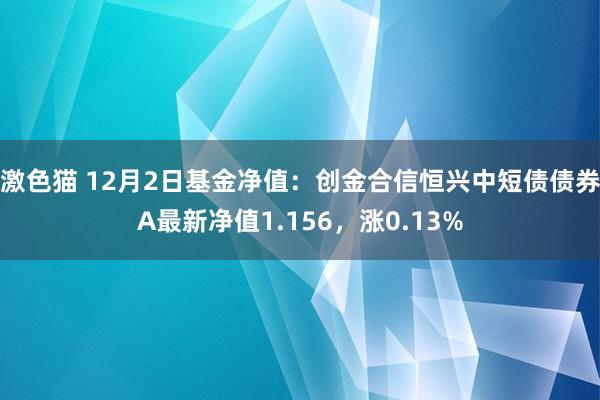 激色猫 12月2日基金净值：创金合信恒兴中短债债券A最新净值1.156，涨0.13%