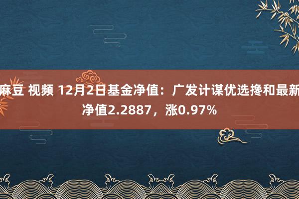 麻豆 视频 12月2日基金净值：广发计谋优选搀和最新净值2.2887，涨0.97%