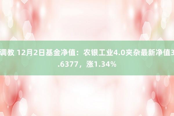 调教 12月2日基金净值：农银工业4.0夹杂最新净值3.6377，涨1.34%