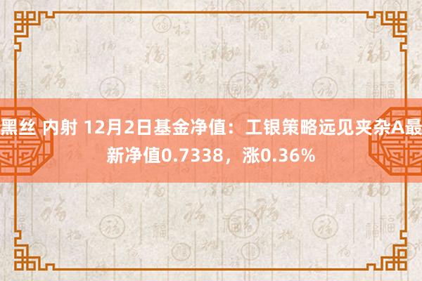 黑丝 内射 12月2日基金净值：工银策略远见夹杂A最新净值0.7338，涨0.36%