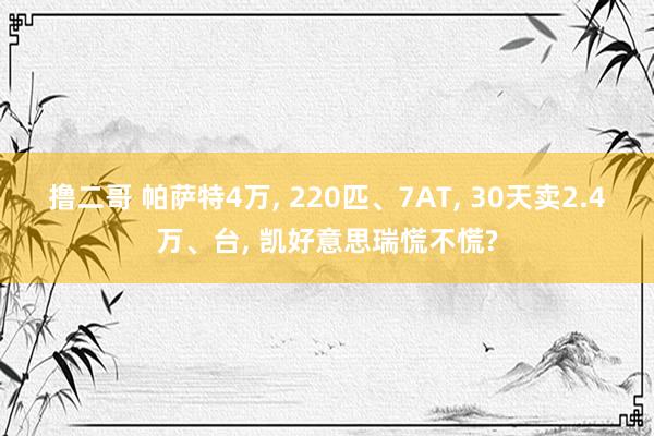 撸二哥 帕萨特4万， 220匹、7AT， 30天卖2.4万、台， 凯好意思瑞慌不慌?