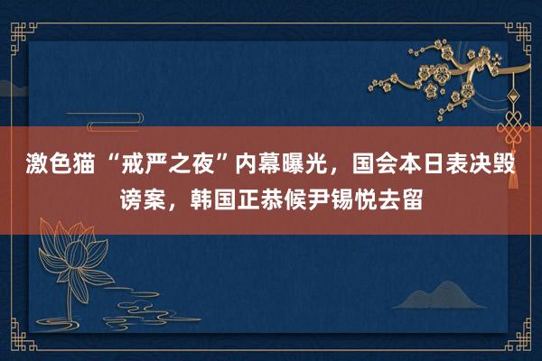 激色猫 “戒严之夜”内幕曝光，国会本日表决毁谤案，韩国正恭候尹锡悦去留