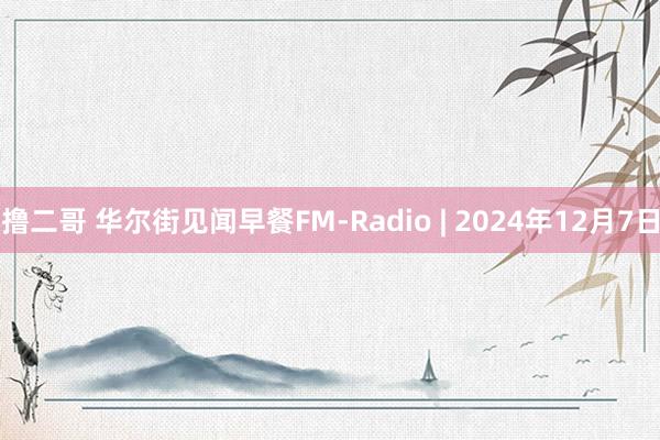 撸二哥 华尔街见闻早餐FM-Radio | 2024年12月7日