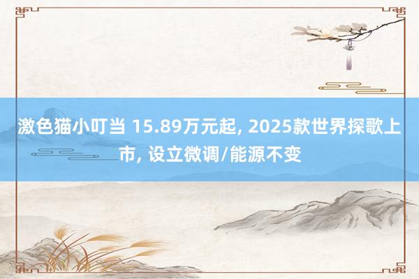 激色猫小叮当 15.89万元起， 2025款世界探歌上市， 设立微调/能源不变