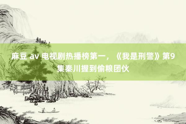 麻豆 av 电视剧热播榜第一，《我是刑警》第9集秦川握到偷粮团伙