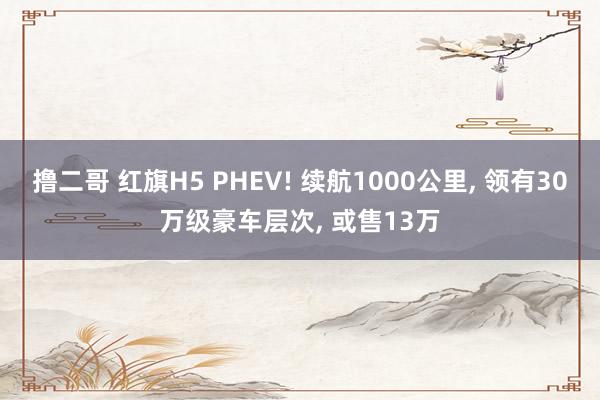 撸二哥 红旗H5 PHEV! 续航1000公里， 领有30万级豪车层次， 或售13万