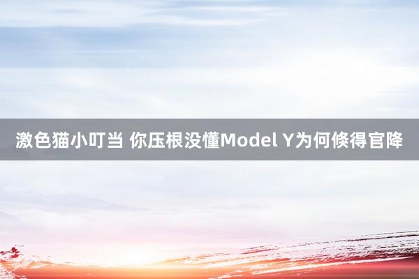 激色猫小叮当 你压根没懂Model Y为何倏得官降