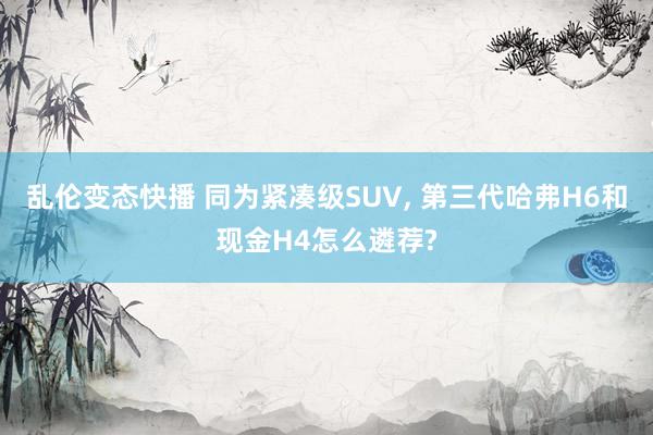 乱伦变态快播 同为紧凑级SUV， 第三代哈弗H6和现金H4怎么遴荐?