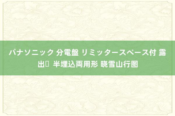 パナソニック 分電盤 リミッタースペース付 露出・半埋込両用形 晓雪山行图