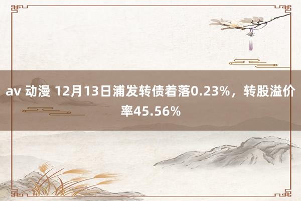 av 动漫 12月13日浦发转债着落0.23%，转股溢价率45.56%