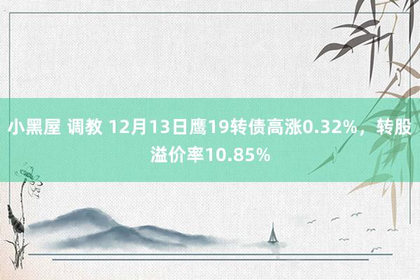 小黑屋 调教 12月13日鹰19转债高涨0.32%，转股溢价率10.85%