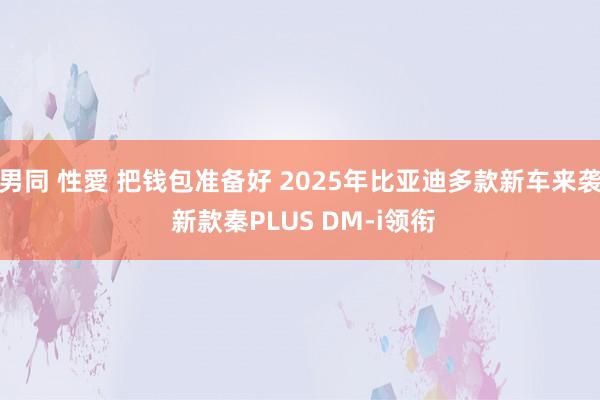 男同 性愛 把钱包准备好 2025年比亚迪多款新车来袭 新款秦PLUS DM-i领衔