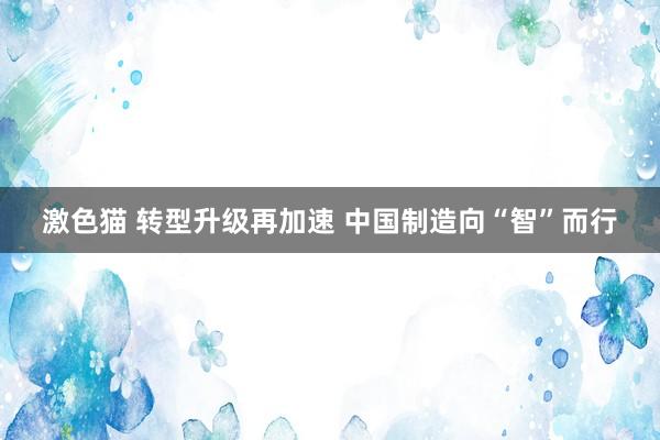 激色猫 转型升级再加速 中国制造向“智”而行