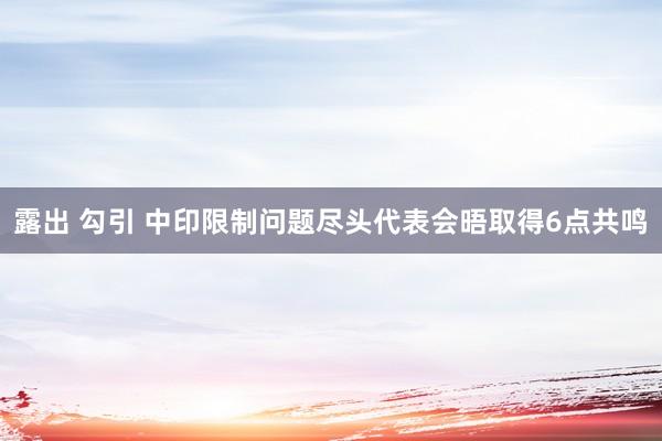 露出 勾引 中印限制问题尽头代表会晤取得6点共鸣