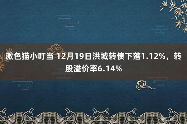 激色猫小叮当 12月19日洪城转债下落1.12%，转股溢价率6.14%